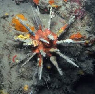 464477789_10230721773606985_3970278685082779348_n.jpeg 464477789_10230721773606985_3970278685082779348_n.jpeg