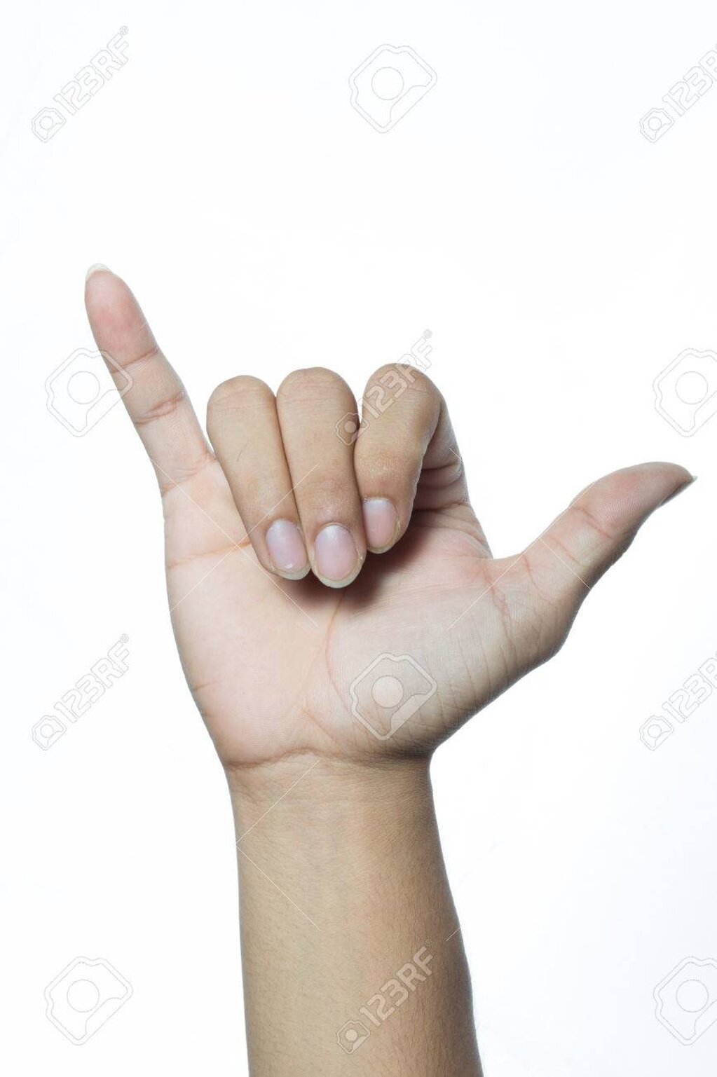 04042975-116d-4b43-9341-3b5ab3c7cf95