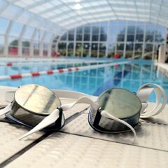 img_0448.jpeg img_0448.jpeg