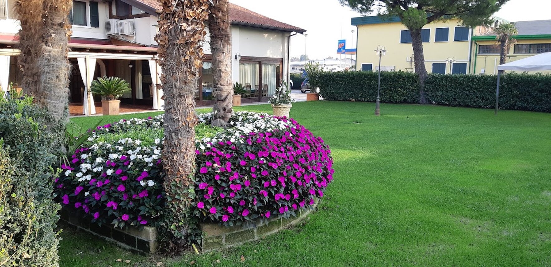 unnamed8.jpeg unnamed8.jpeg