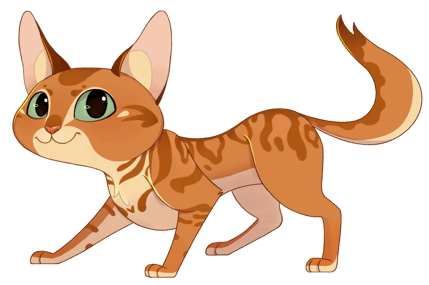 2024_cd_farina_poses_01 2024_cd_farina_poses_01