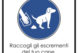 dog%20net%20-%20comune%20pulito%202.jpeg dog%20net%20-%20comune%20pulito%202.jpeg