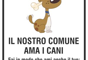 dog%20net%20-%20comune%20pulito.jpeg dog%20net%20-%20comune%20pulito.jpeg
