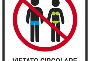 dog%20net%20-%20cane%20paletta.jpeg dog%20net%20-%20cane%20paletta.jpeg