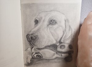 20260102_174518.jpeg