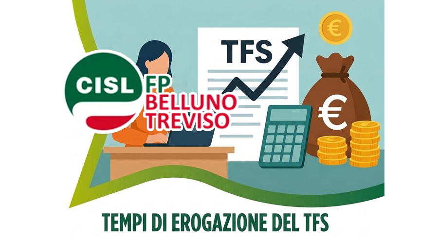 TFS, la Corte Costituzionale richiama il legislatore: riforma entro gennaio 2027