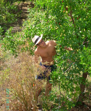 36508_ff2e32a99366de564e2ff4d8c90cfceec0a4a057