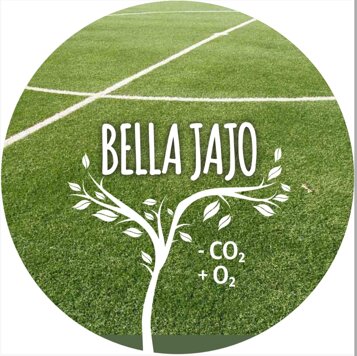 logo bella jajo.jpeg