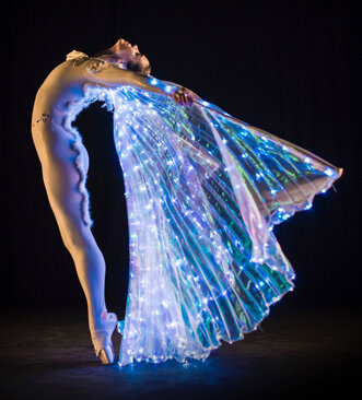 led wing ballerinas image14.jpeg led wing ballerinas image14.jpeg