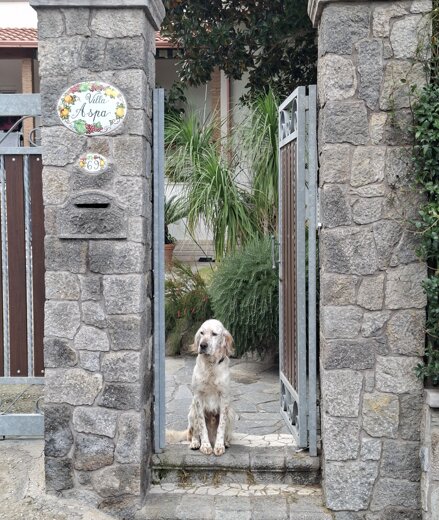 20220601_150803.jpeg 20220601_150803.jpeg