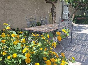 20220601_150803.jpeg 20220601_150803.jpeg