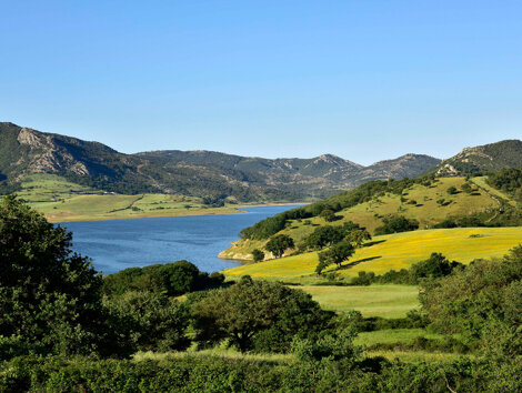 prometeo.webp prometeo.webp