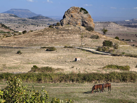 img_9570.jpeg img_9570.jpeg