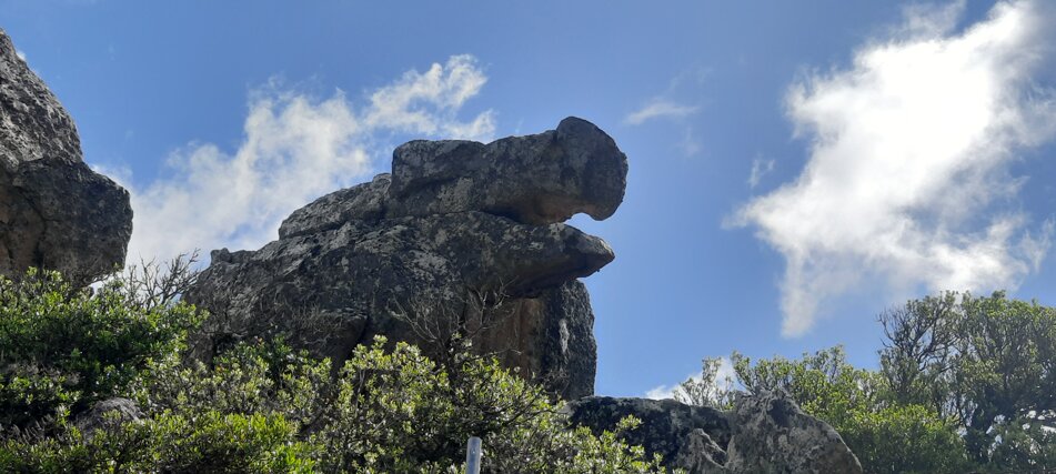 sentiero g 301-monte-lerno.jpeg sentiero g 301-monte-lerno.jpeg