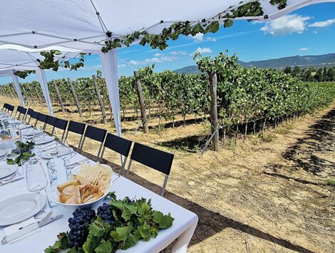 img_1537.jpeg img_1537.jpeg