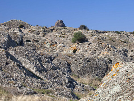 img_1932.jpeg img_1932.jpeg