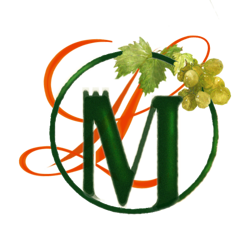 logo muraglia trasparente