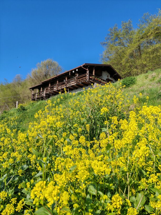 img_20250410_085642.jpeg img_20250410_085642.jpeg