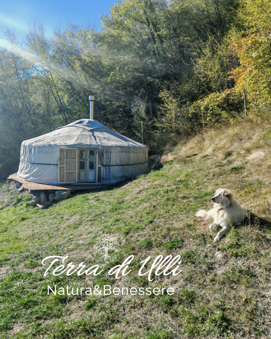 progetto senza titolo (1)