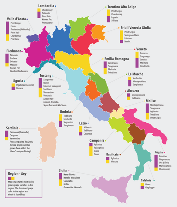 mappa-dei-vini-italiani-large