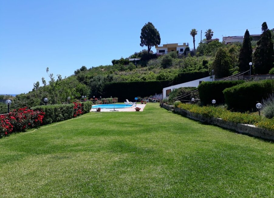 20200801_081600.jpeg 20200801_081600.jpeg