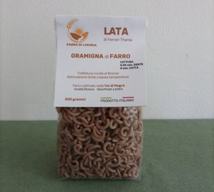 Gramigna di farro