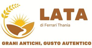 logo26.jpeg