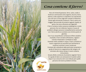 Cosa contiene il farro?