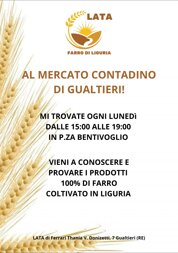mercato contadino gualtieri