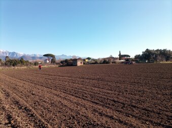 campo seminato a farro