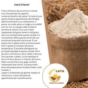 eyJpdCI6IkNvcyfoIGlsIGZhcnJvPyJ9