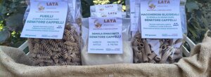 semola senatore cappelli, maccheroni elicoidali senatore cappelli integrale, fusilli senatore cappelli integrale