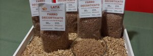 farro decorticato