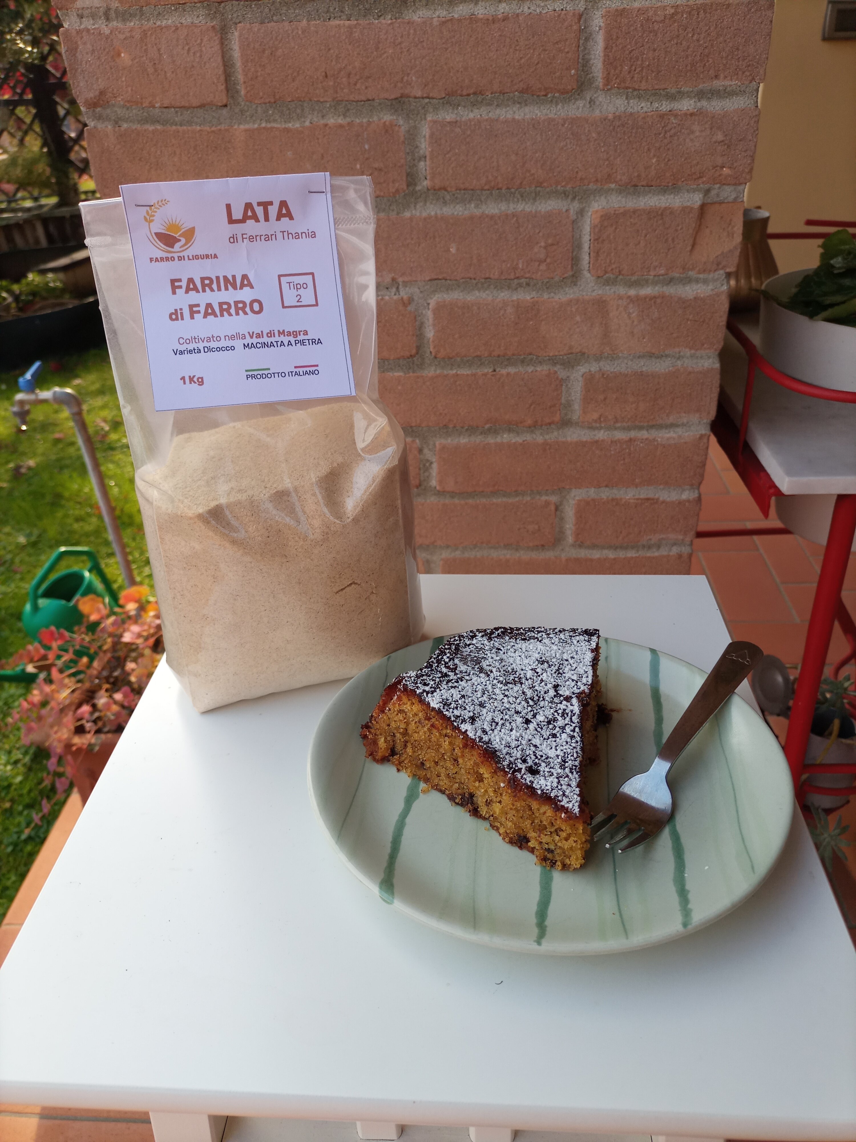 Torta con farina di farro, cioccolato e mandorle