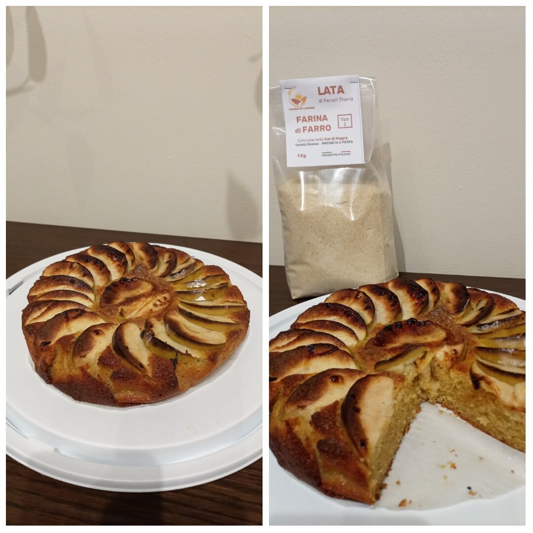 Torta con farina di farro e yogurt greco