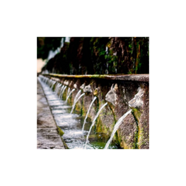 progetto senza titolo_20260113_091729_0000