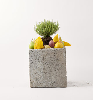 Still life di frutta su elemento in cemento