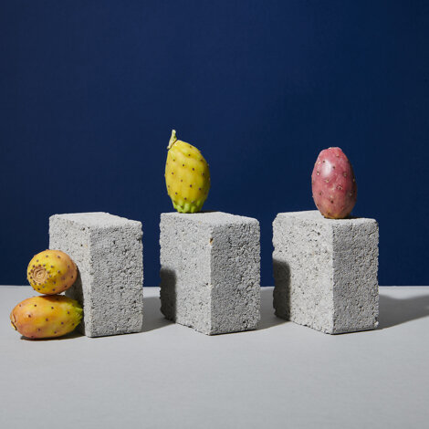 Still life con fichi d'India su fondo blu