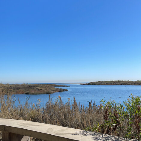 4d1553ff-825e-43a9-bd52-4376e2cbed57.jpeg 4d1553ff-825e-43a9-bd52-4376e2cbed57.jpeg