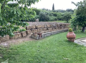 img_3164.jpeg