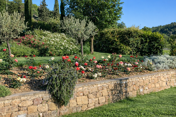 chatgpt image 6 feb 2026, 11_33_51