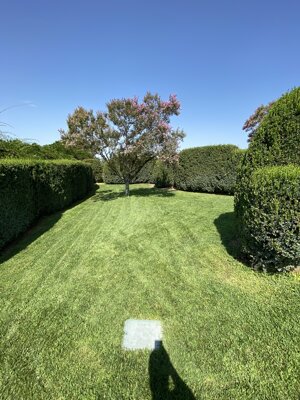 img_6655.jpeg