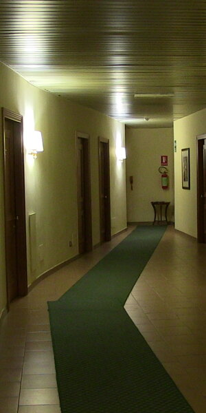 img_2517.jpeg img_2517.jpeg