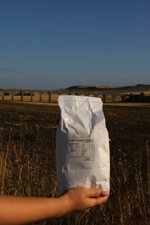 farina-di-grano-tenero-ii