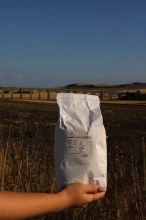 farina-di-grano-tenero-ii