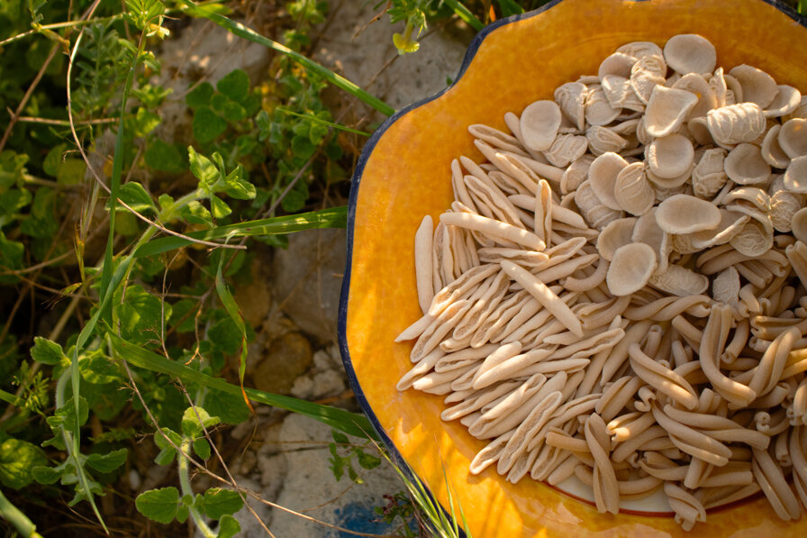 img_2570.jpeg img_2570.jpeg