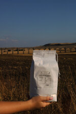 farina-senatore-cappelli