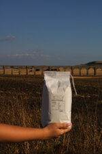 semola-di-grano-duro