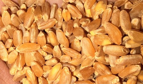 1166509b-57ae-4825-bae8-0486b62e44b5