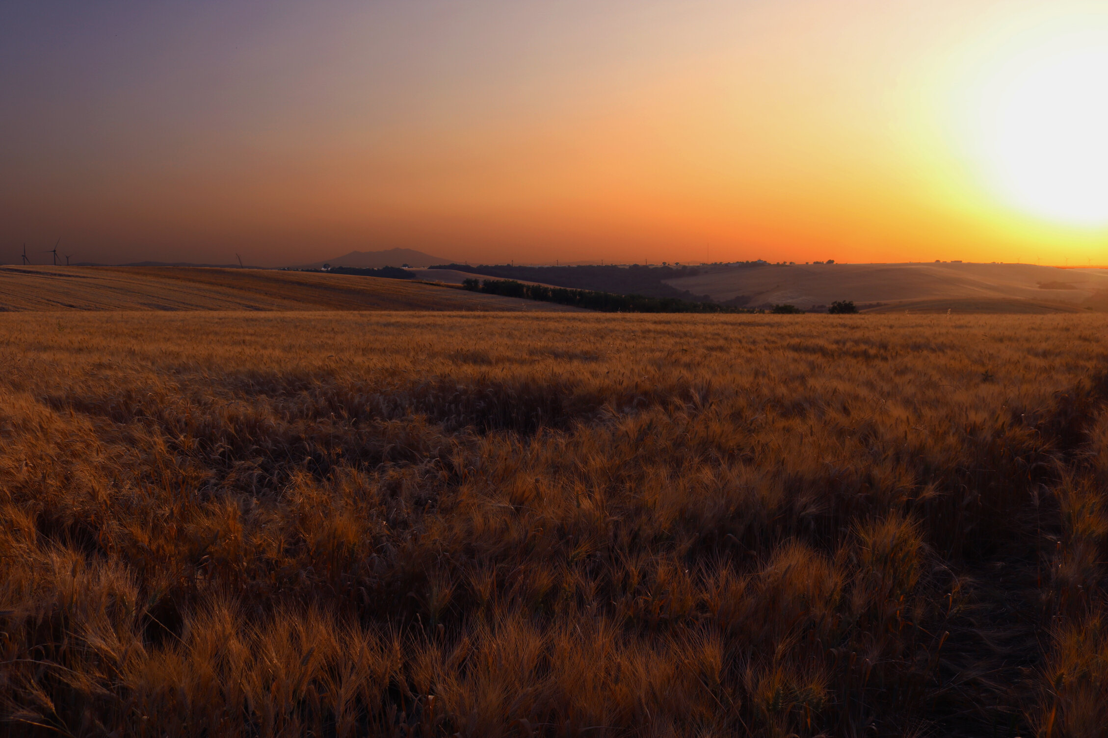 img_3468.jpeg img_3468.jpeg